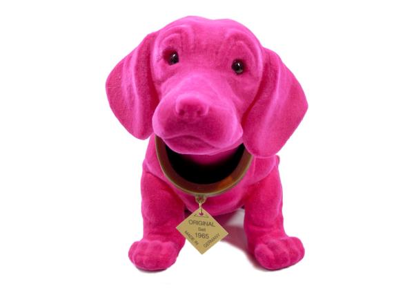 Dachshund Pink